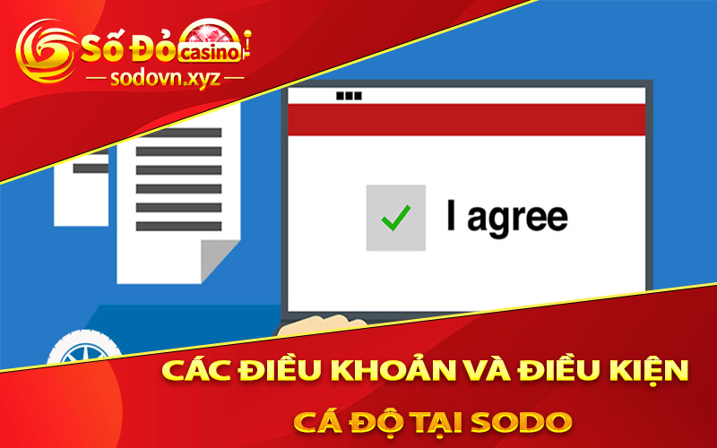 Các Điều Khoản và Điều Kiện Cá Độ tại Sodo trên Trang Chủ Nhà Cái